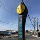 비디오네트 | 파주테니스 운정테니스 레슨&amp;대관 추천 : 위너실내테니스 운정덕이점