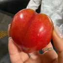 성산오일시장 | 제주 오일장 날짜 총정리 제주시민속오일시장 대정오일시장 후기
