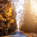 행복드림농장 이미지