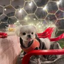 달빛과쉬는시간 이미지