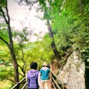 폭포펜션 이미지