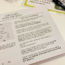 언제나고양이 | 인천 고양이 무마취 미용 &amp; 호텔 ,언제나고양이 첫미용 후기