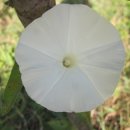 상오방2 이미지