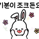 타카독스 커피 이미지