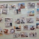 냥떼목장 이미지