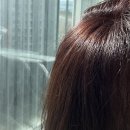 리엔 | 다이소 새치 염색약 뿌염 후기 | 리엔 효윤고 (꿀팁포함!)