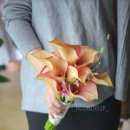 (주)호텔인터불고 원주 이미지