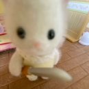 서무결베이커리 이미지