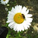 자연학습공원 이미지