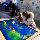 과학놀이터 | 대구 달성군 아이와 가볼만한곳｜국립대구과학관 층별 관람·과학놀이터 후기