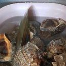 아일랜드펜션민박 이미지