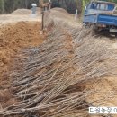 종무농장 이미지