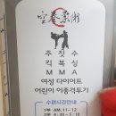 운동하면서 체력강화 및 호신술까지 한번에 배울 수 있는 "일산 코리안 주짓수 종합격투기 공권유술" 후기