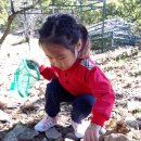 준형농장 이미지