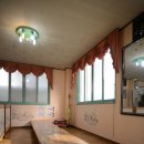 금남멧돼지 이미지