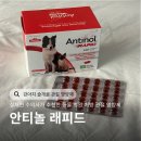 리안 동물병원 | 강아지 슬개골 영양제 안티놀 래피드 관절 영양제 내돈내산 구매후기