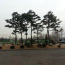 수원농생명 과학고등학교 이미지