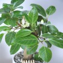 24시 서초바른동물병원 이미지