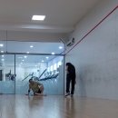 6365 | [대전 유성 노은 365 스포츠] 칼로리 소모 1등 운동 스쿼시! 다이어트는 스쿼시로?