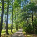 안산 식물원 | 안산식물원 방문후기