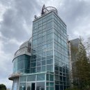 2472 | 서귀포카페 추천~ 편하게 쉴 수 있는 카페2472 내돈내산 후기