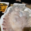 대신호 | 속초 외옹치항 맛집 대신호횟집 포장 후기, 두툼한 자연산 회에 만족한 속초 현지 맛집
