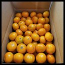 다미농장 이미지