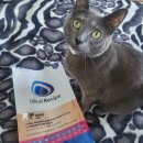 아이디얼푸드 이미지