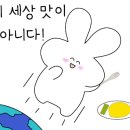 란스피자