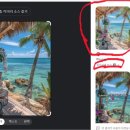 블로그 사기꾼 예방 - 중복 이미지 검색으로 확인하는 법