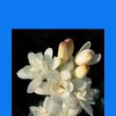 하대동312 이미지