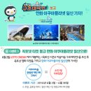 바다탐험대 옥토넛 이미지