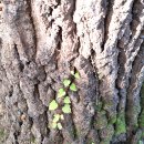 잘못된 만남 / 이신동 이미지