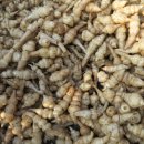 바우농장 이미지