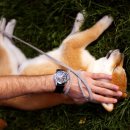 해봄동물병원 이미지