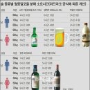 [음주운전] 음주운전의 정의와 보험적용 등 이미지