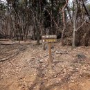 천정약수터 이미지