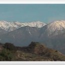 팜스프링 이미지