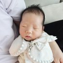 ((A+)) 맘스매니저 | 부산 산후도우미 맘스매니저 경산모 4주 이용후기 (+유축기, 홈캠대여가능)