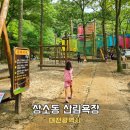 천동오토캠핑장(상) | 대전 근교 아이와 가볼만한곳 상소동 산림욕장 오토캠핑장