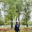 미루stay 네이버블로그