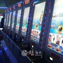 태백게임장 이미지