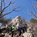 순천 - 금전산 산행 (20130321) 이미지