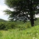 당산경로당 이미지