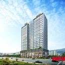 근화동 267-8 이미지