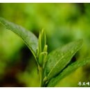 푸르매농장 이미지