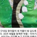 아낙사우나 이미지