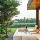 공간동백 이미지