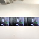 화명튼튼정형외과의원 이미지