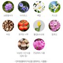 (주)바른약품 이미지